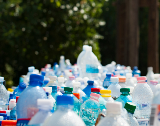 Các chai nhựa trong cuộc sống hằng ngày