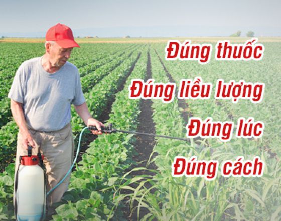 Nguyên tắc sử dụng thuốc BVTV