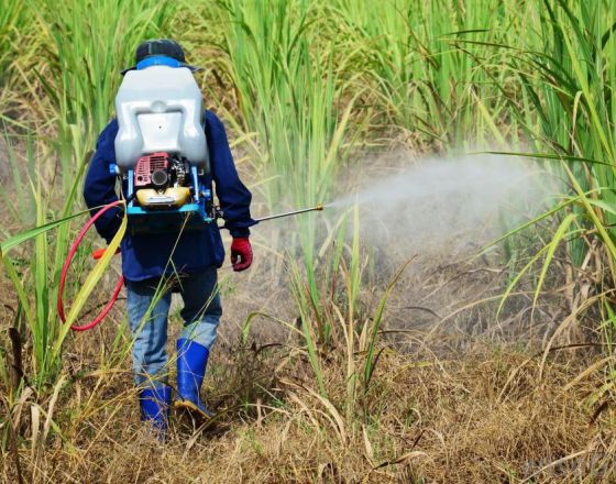 Thuốc diệt cỏ sinh học